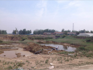 河北省廊坊市大城縣廣安關屯西北坑污水治理